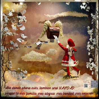 Primer Premio. Floristería El Paraíso, de Alcázar de San Juan